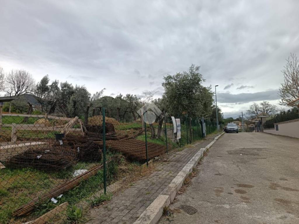 immagine annuncio 3 di 12