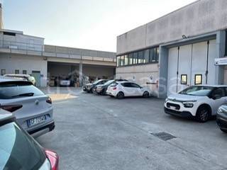 immagine annuncio 3 di 14