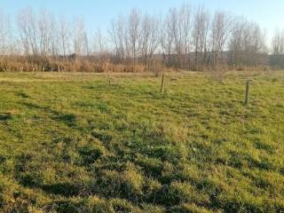 Terreno agricolo in vendita ad attigliano strada della valle