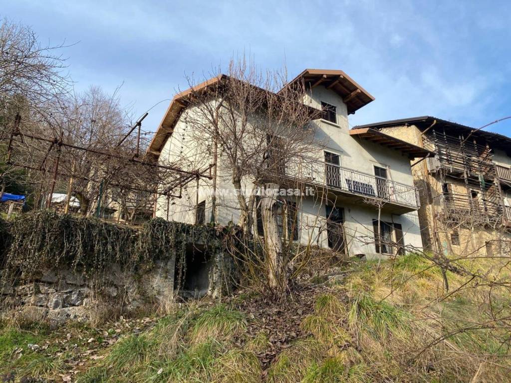 immagine annuncio 3 di 12