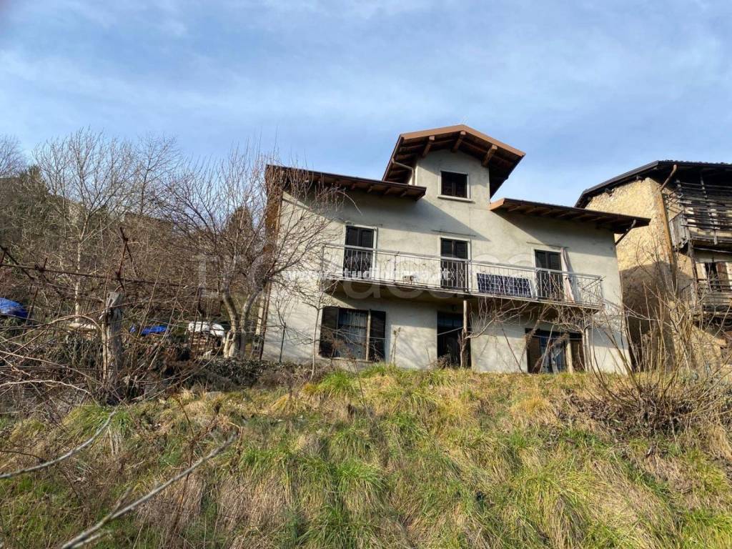 immagine annuncio 3 di 12