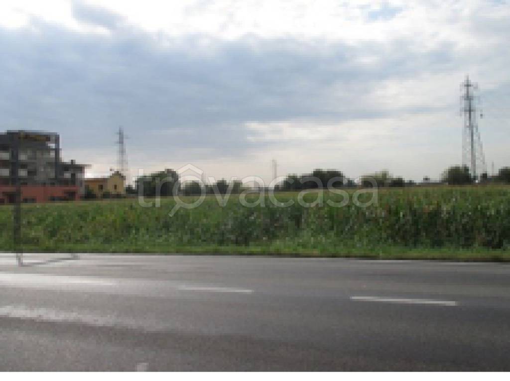 immagine annuncio 6 di 12