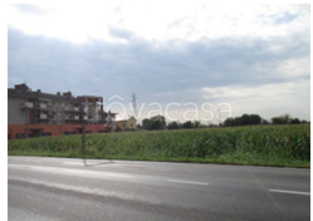 immagine annuncio 7 di 12