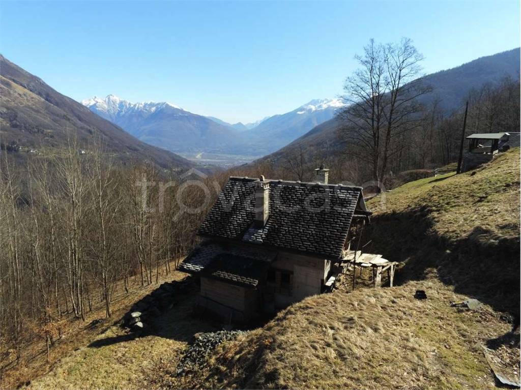 immagine annuncio 5 di 14