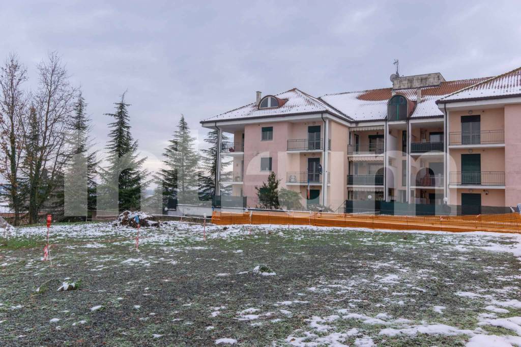 immagine annuncio 5 di 8