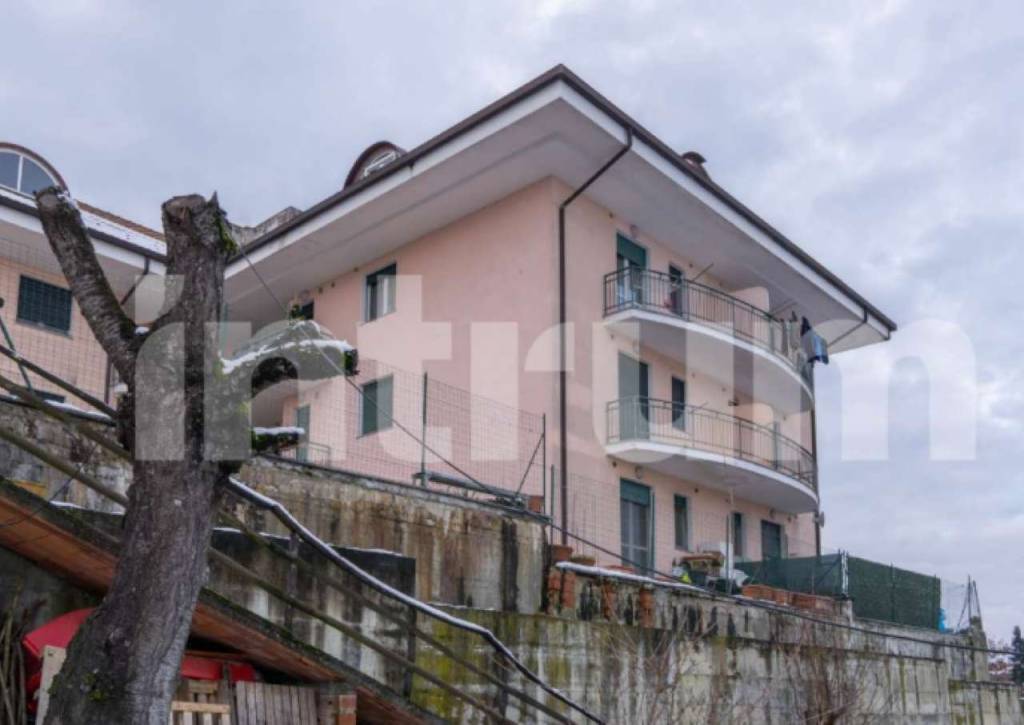 immagine annuncio 2 di 7