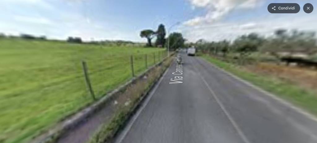 immagine annuncio 6 di 14