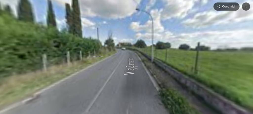 immagine annuncio 10 di 14