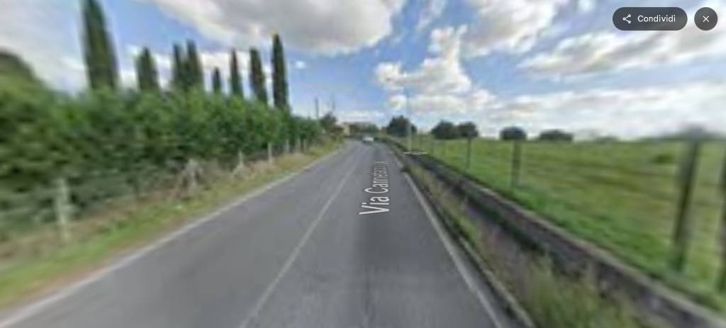immagine annuncio 11 di 14