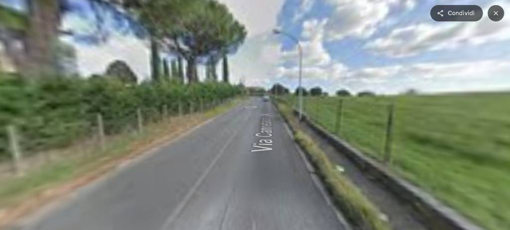 immagine annuncio 12 di 14