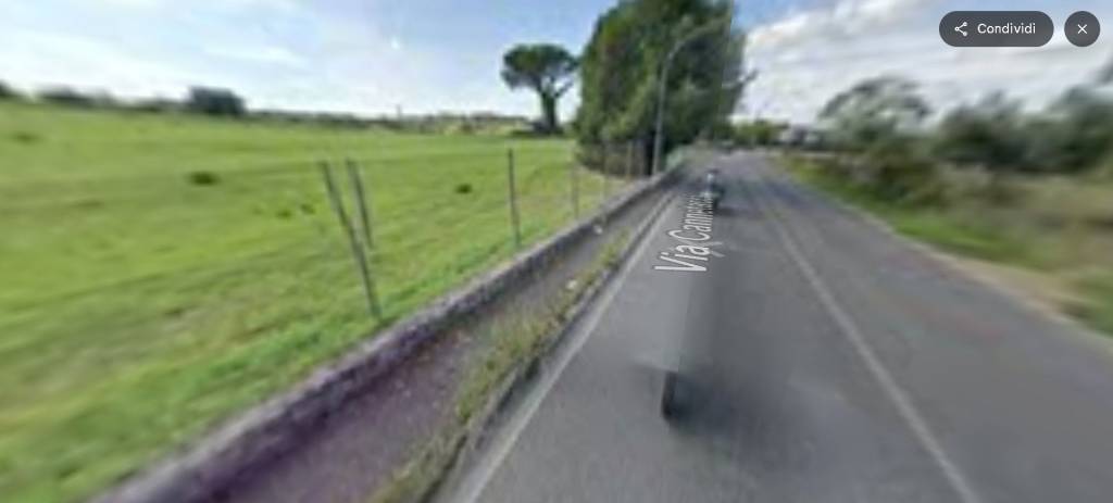 immagine annuncio 5 di 14