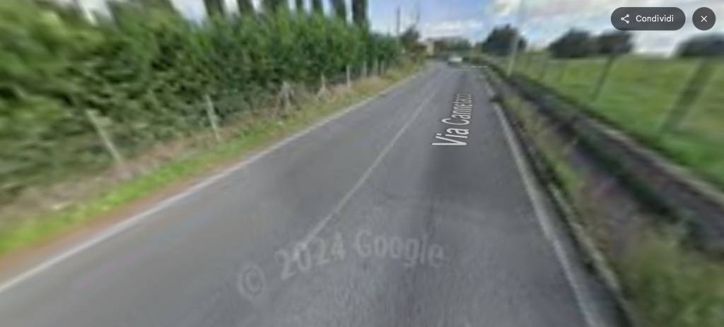 immagine annuncio 10 di 14