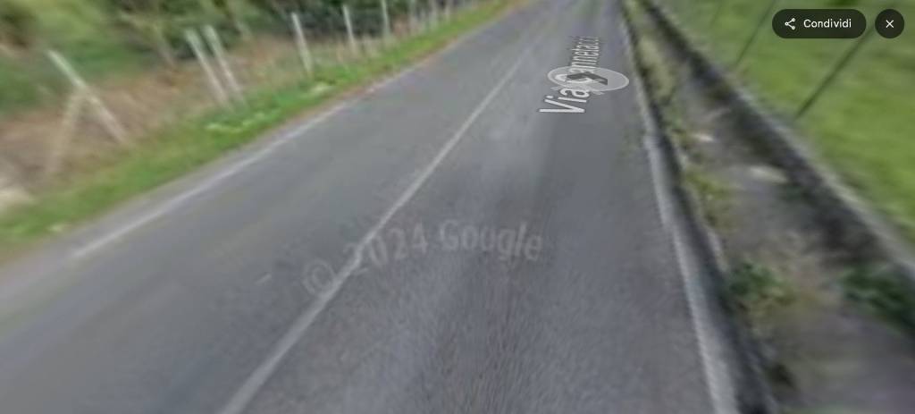 immagine annuncio 12 di 14