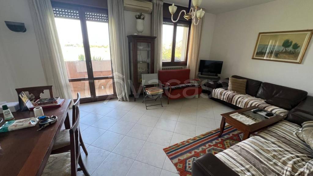 immagine annuncio 1 di 14