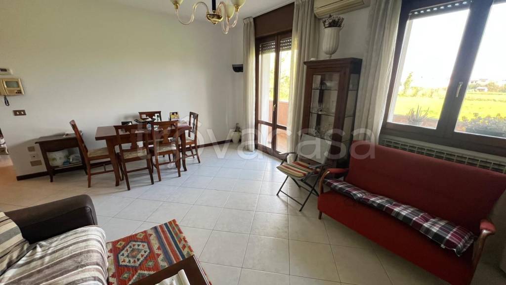 immagine annuncio 2 di 14