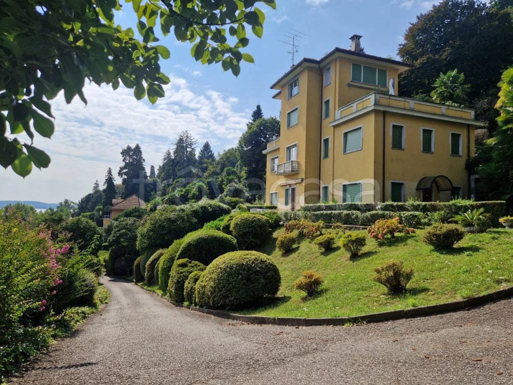 immagine annuncio 7 di 14