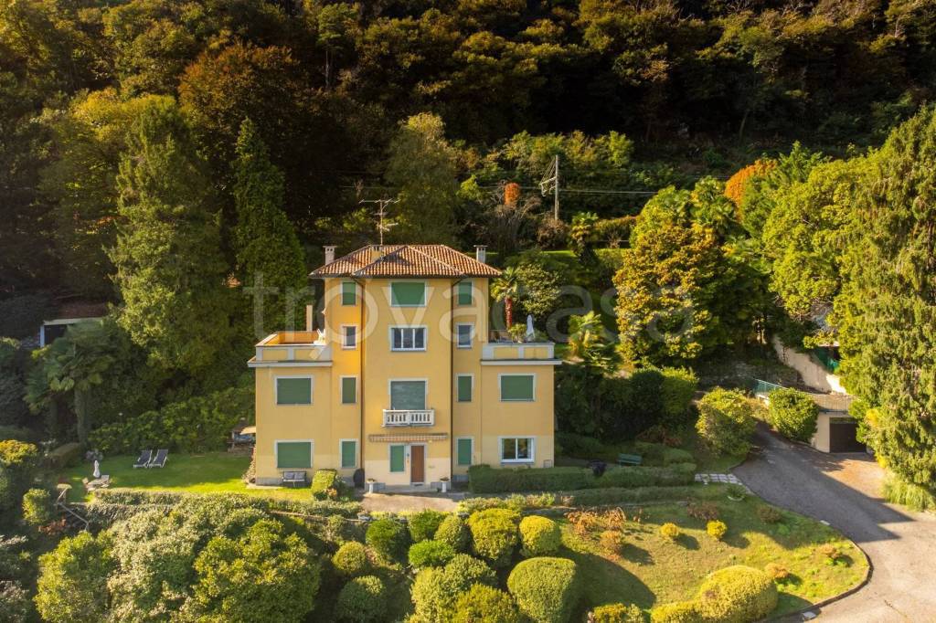 immagine annuncio 11 di 14
