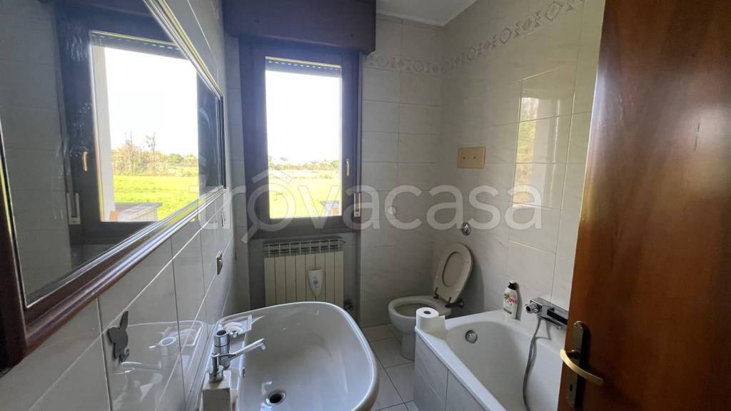 immagine annuncio 9 di 14