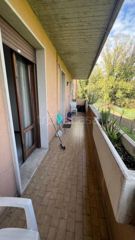 immagine annuncio 11 di 14