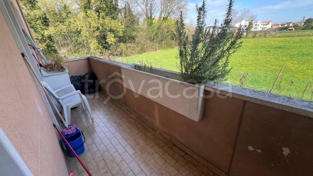 immagine annuncio 12 di 14