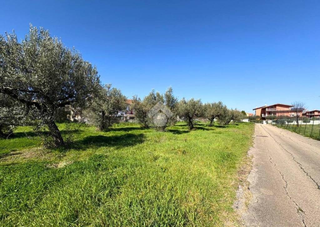 immagine annuncio 6 di 11