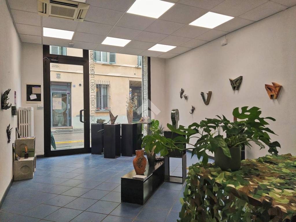 immagine annuncio 2 di 14