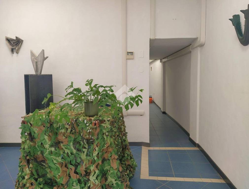 immagine annuncio 5 di 14
