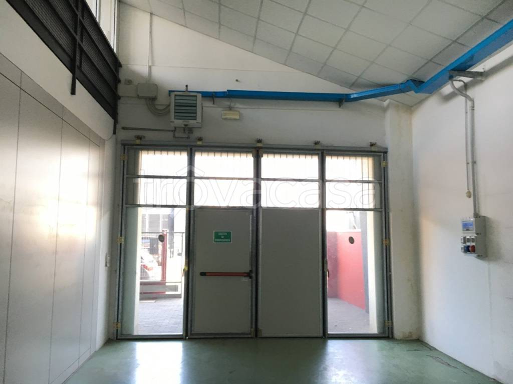 immagine annuncio 3 di 13