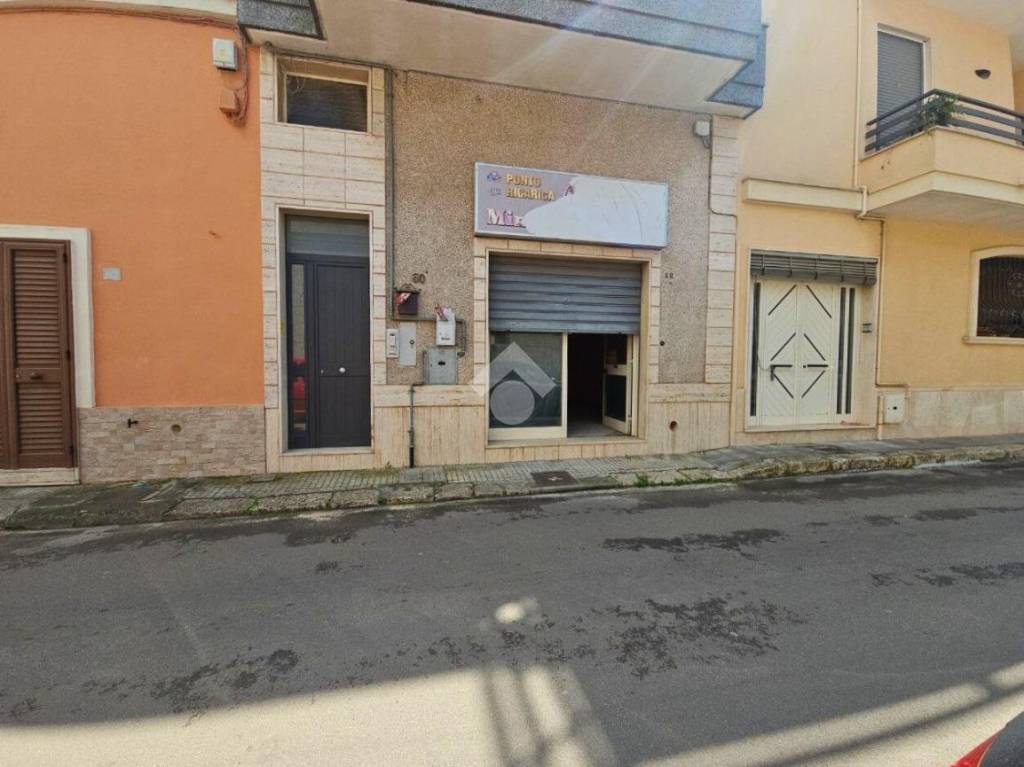 immagine annuncio 1 di 14