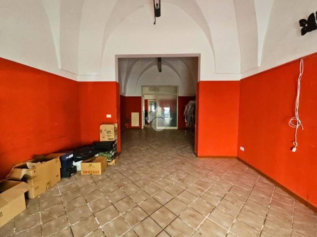 immagine annuncio 3 di 14