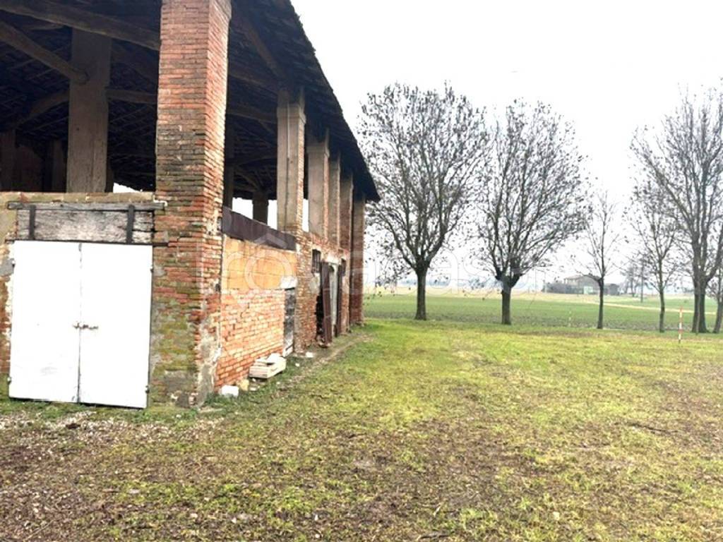 immagine annuncio 1 di 6