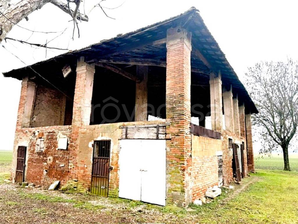 immagine annuncio 2 di 6