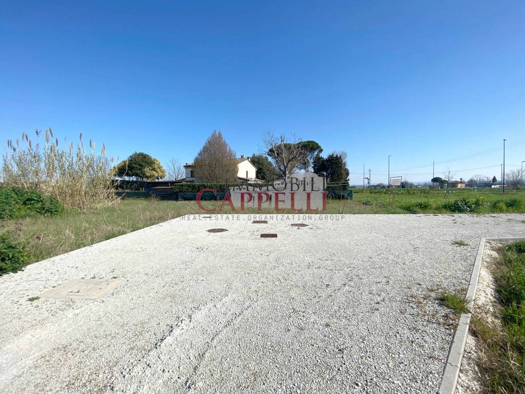 immagine annuncio 3 di 6