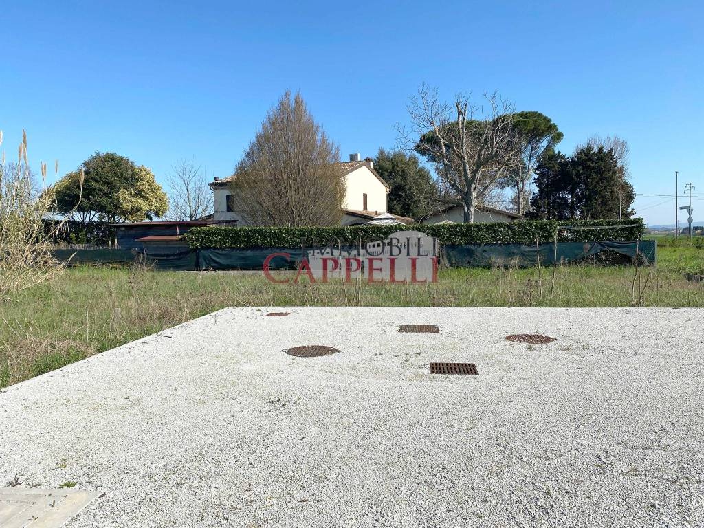 immagine annuncio 4 di 6