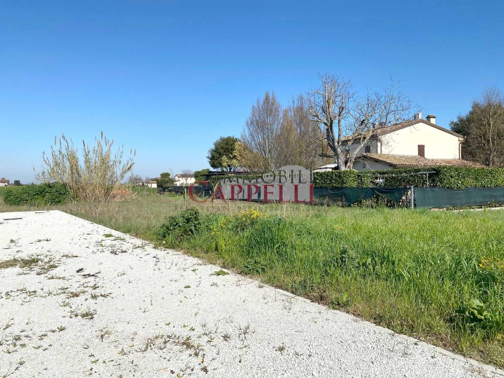 immagine annuncio 5 di 6