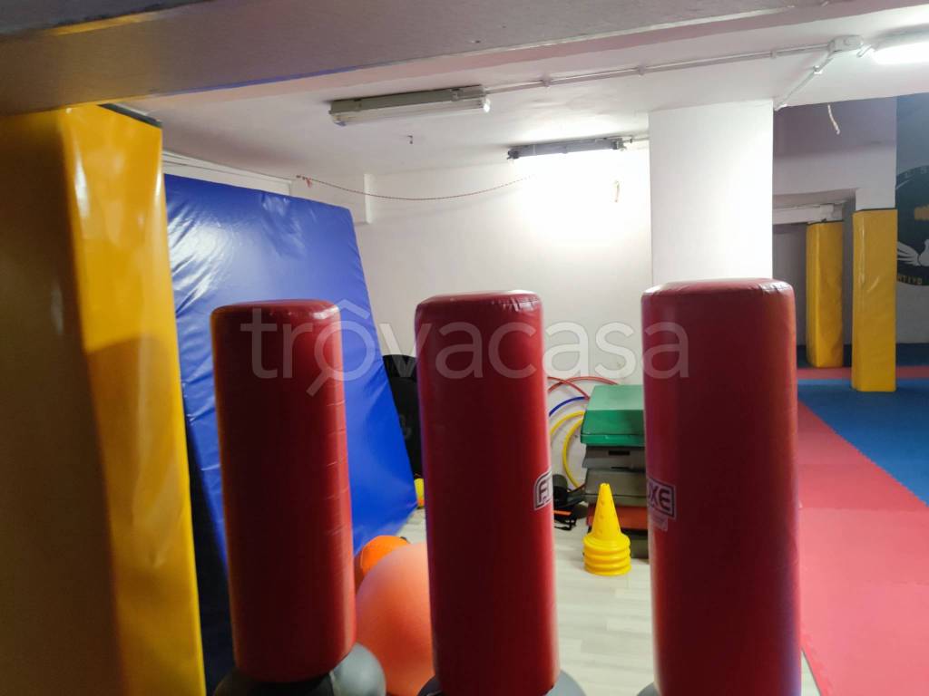 immagine annuncio 13 di 15