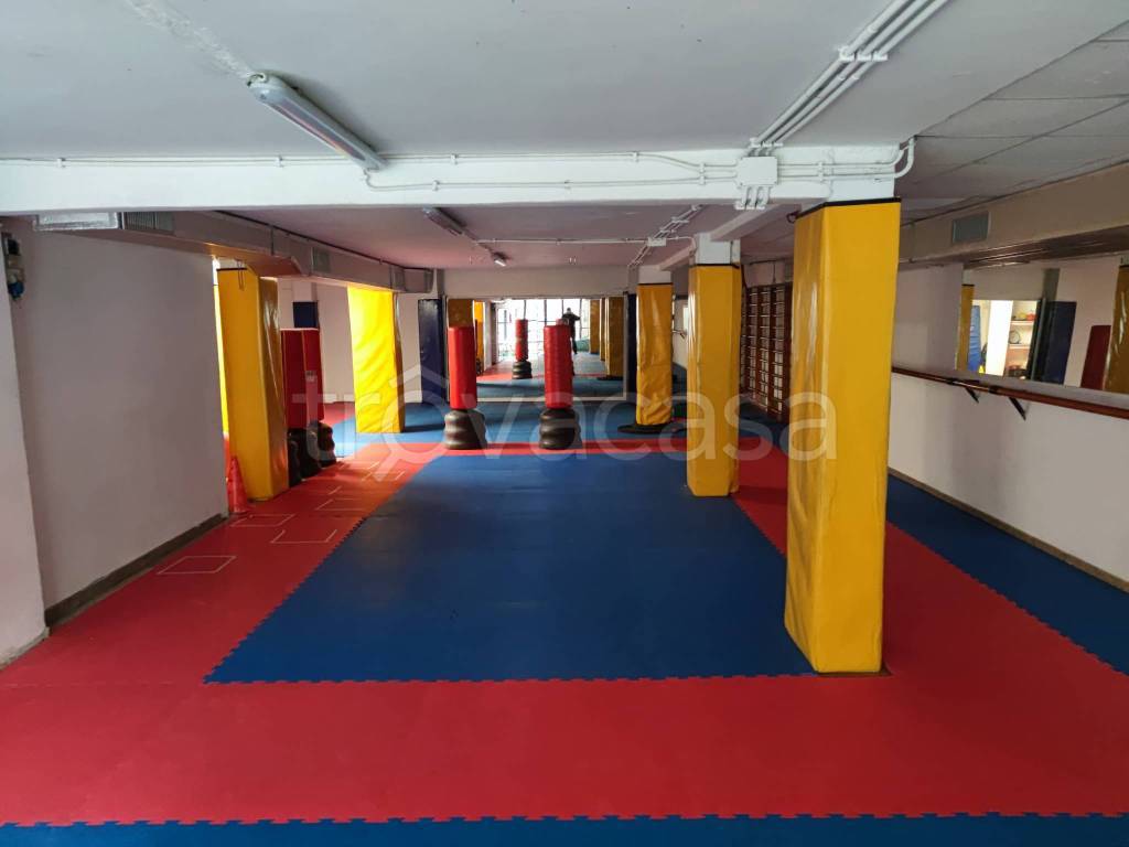 immagine annuncio 14 di 15