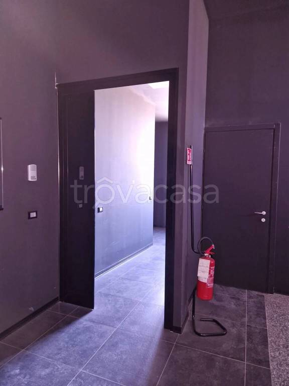 immagine annuncio 5 di 12
