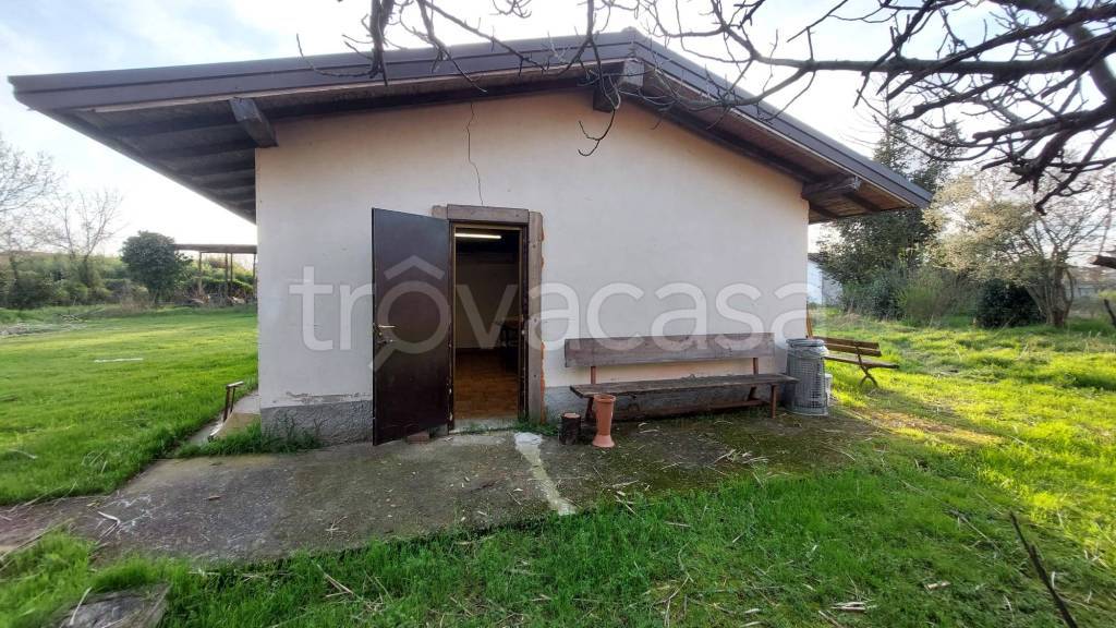 immagine annuncio 10 di 15