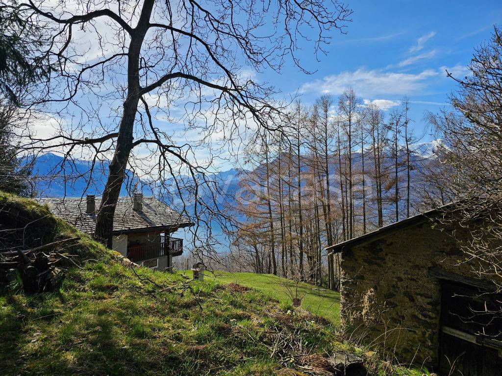 immagine annuncio 4 di 9