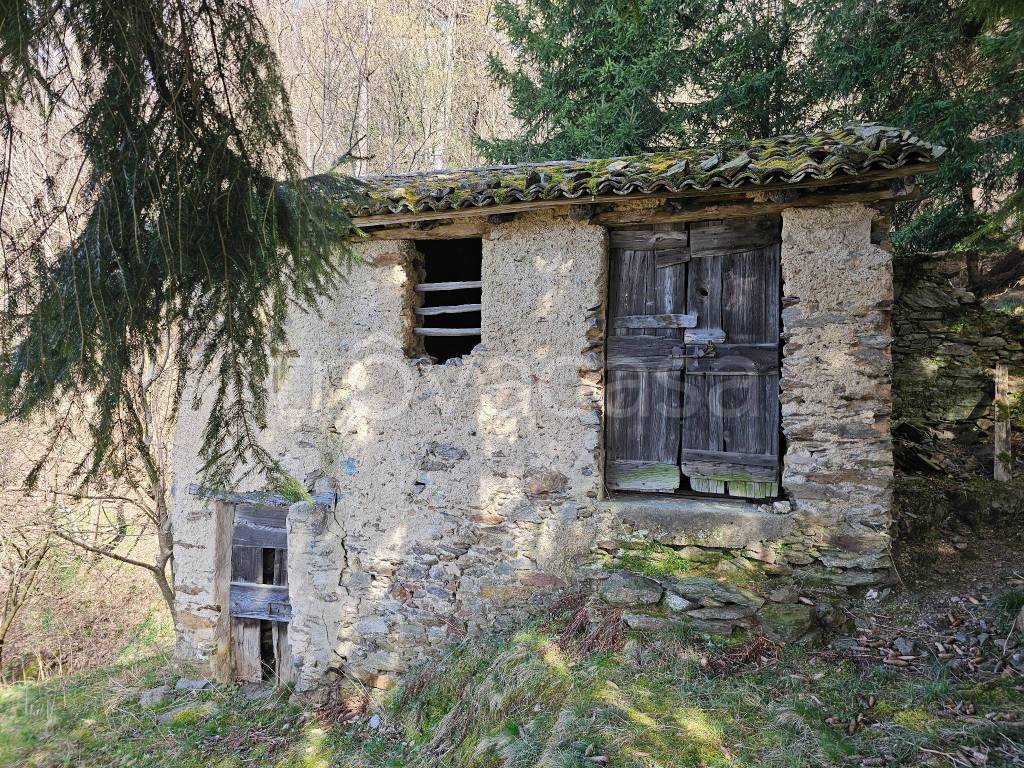 immagine annuncio 8 di 9