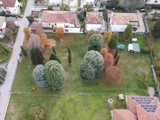 Terreno residenziale in vendita a mogliano veneto 