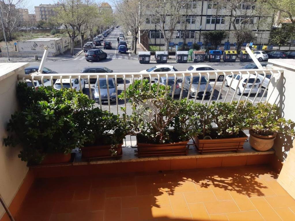 immagine annuncio 12 di 14