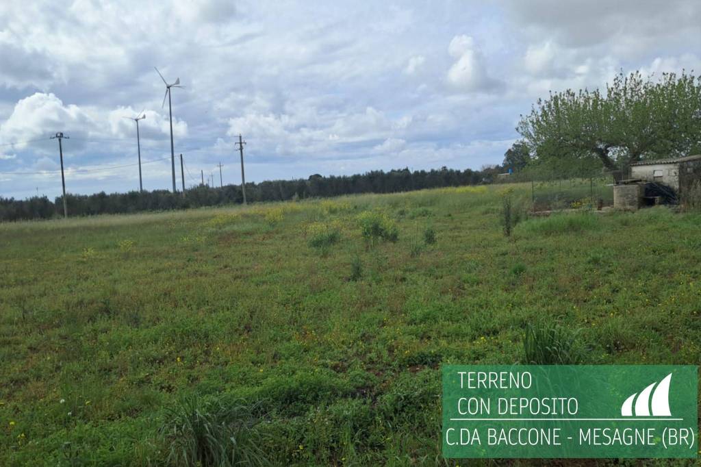 immagine annuncio 3 di 7