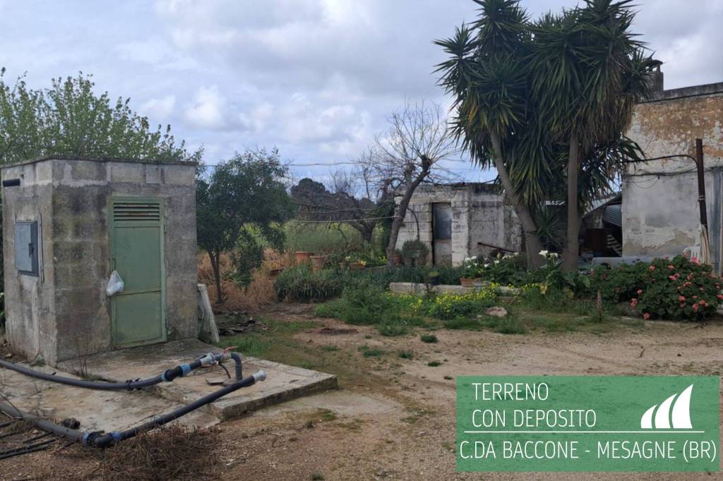 immagine annuncio 2 di 7
