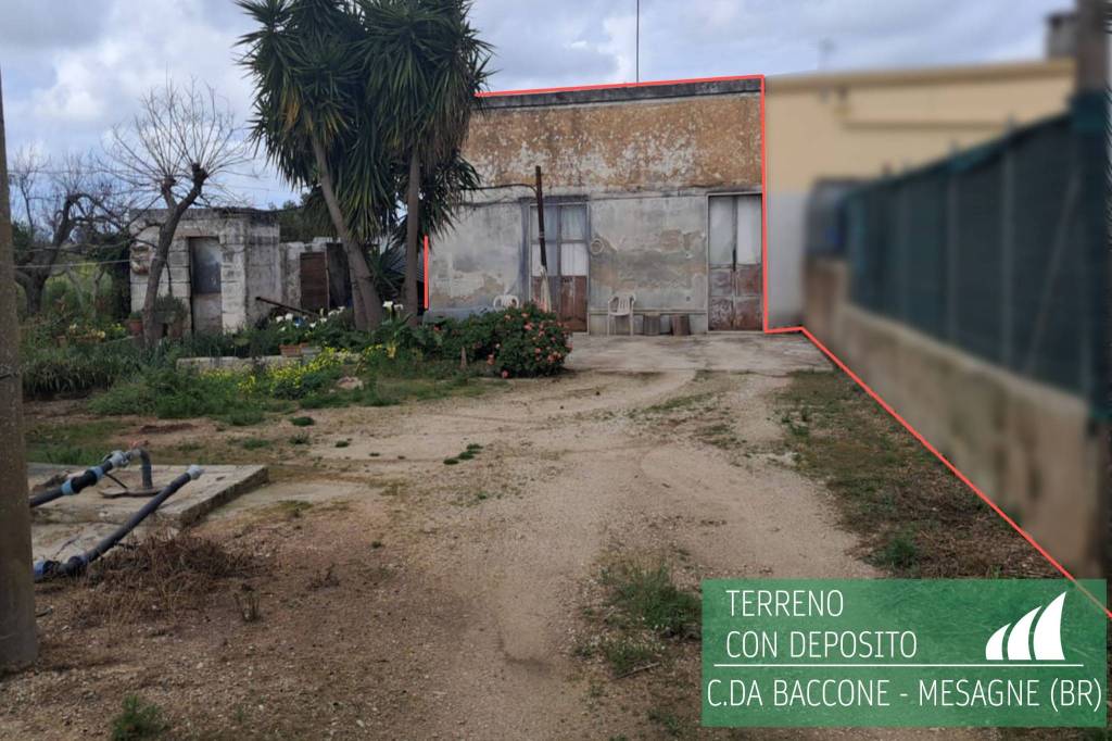 immagine annuncio 1 di 7