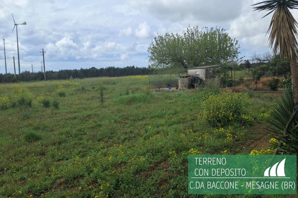 immagine annuncio 4 di 7