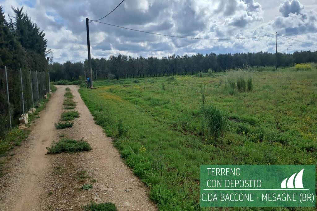 immagine annuncio 5 di 7