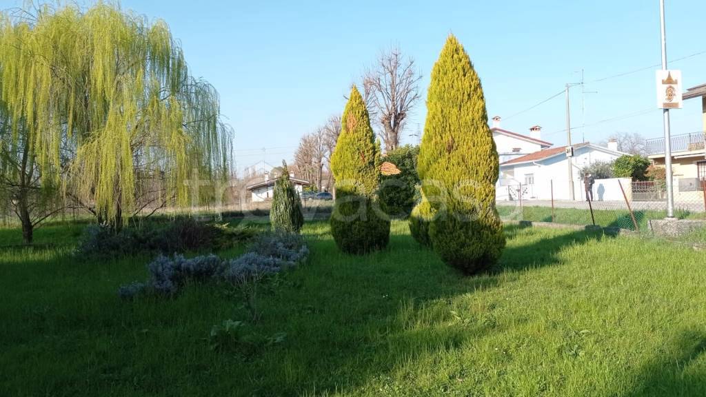 immagine annuncio 5 di 13