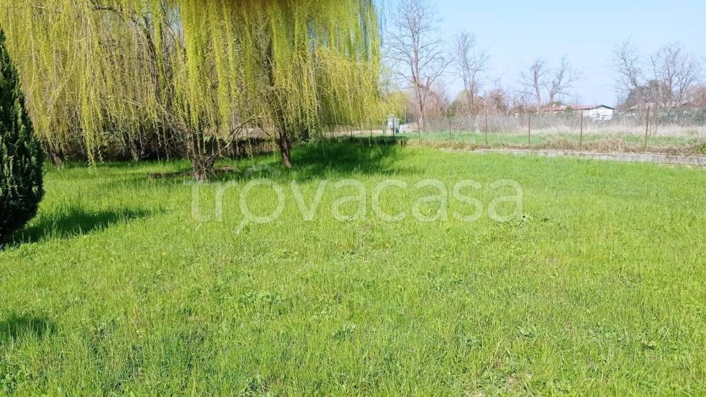 immagine annuncio 7 di 13